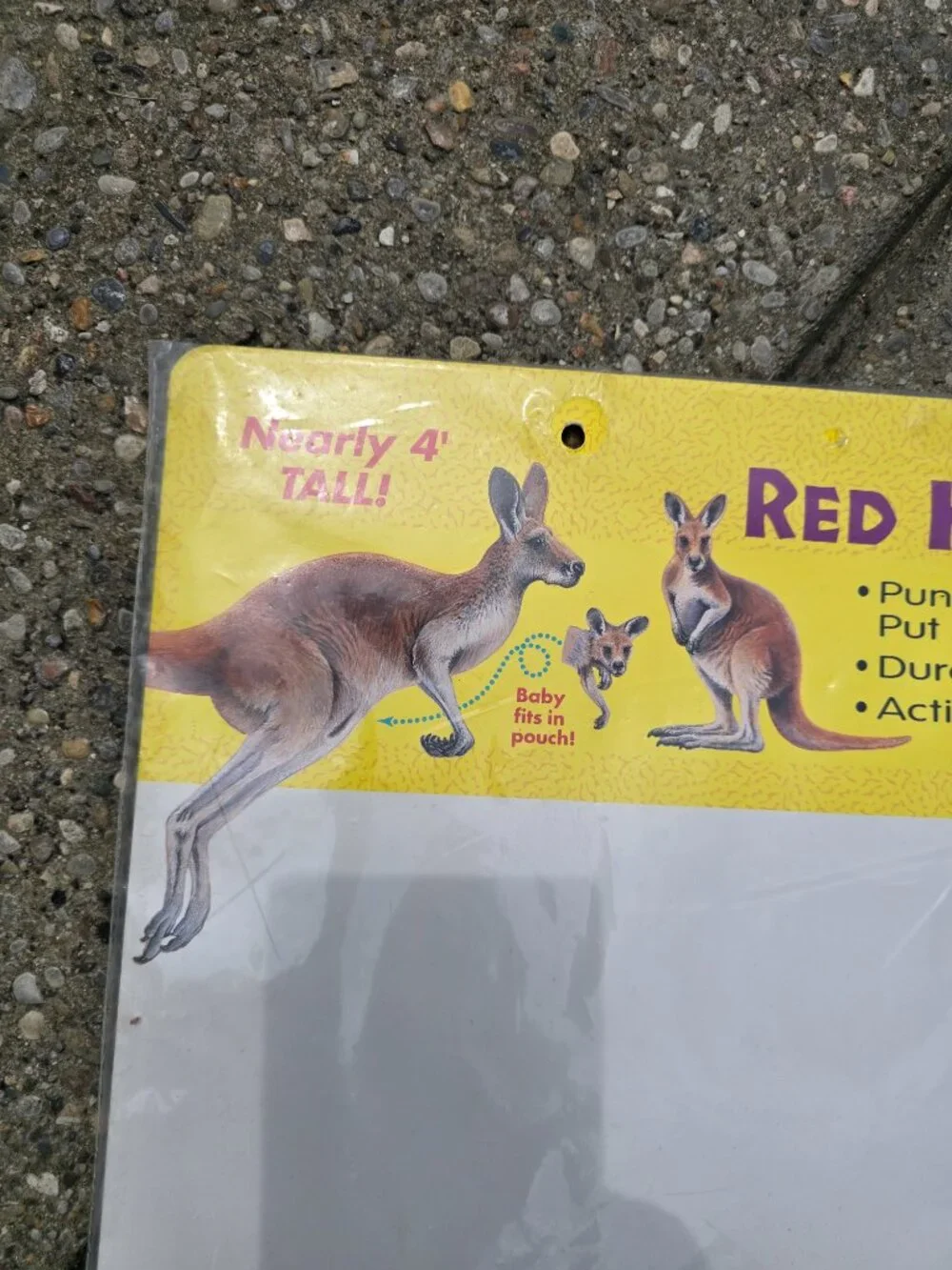 Vintage Trend Enterprises Jumbo Room Decor Red Kangaroo Classroom Cutout T-4809